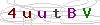 weryfikator