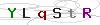 weryfikator