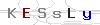 weryfikator